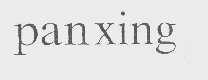 PAN XING