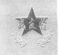 战友情