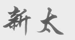 新太
