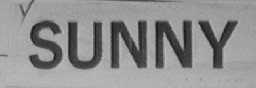 SUNNY