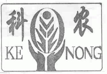 科农