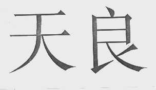 天良