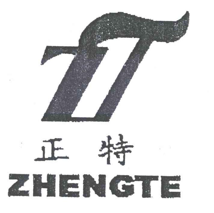 正特