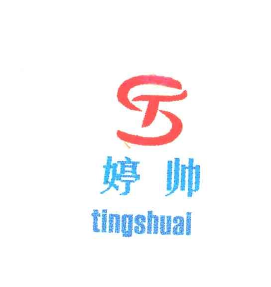 婷帅
