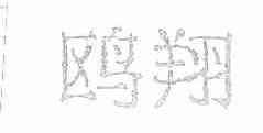 鸥翔
