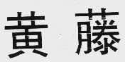 黄藤