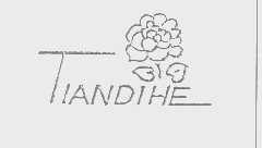 TIANDIHE