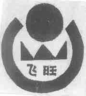 飞旺