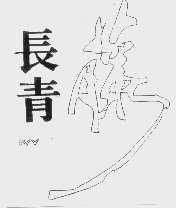 长青藤   IVY