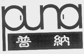 普纳