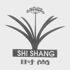 时尚