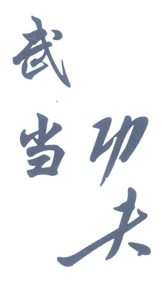武当功夫