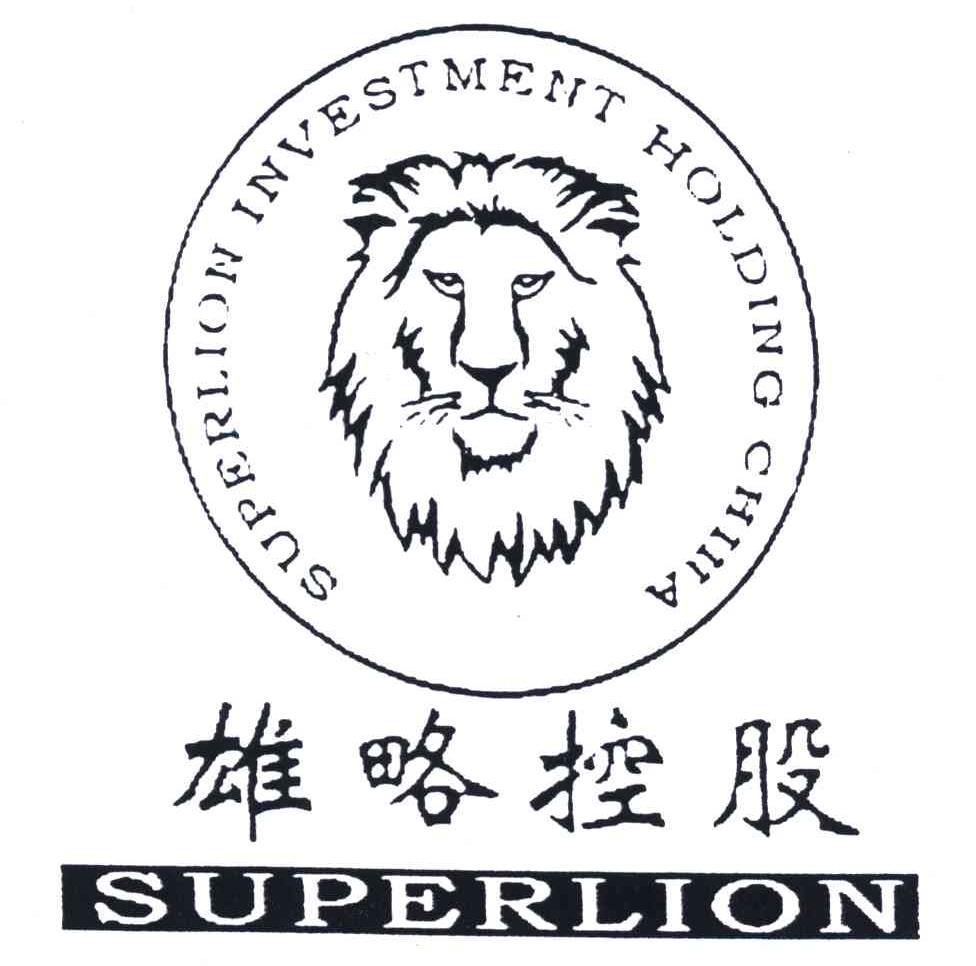 雄略控股;SUPERLION INVESTMENT HOLDING CHINA
