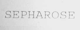 SEPHAROSE