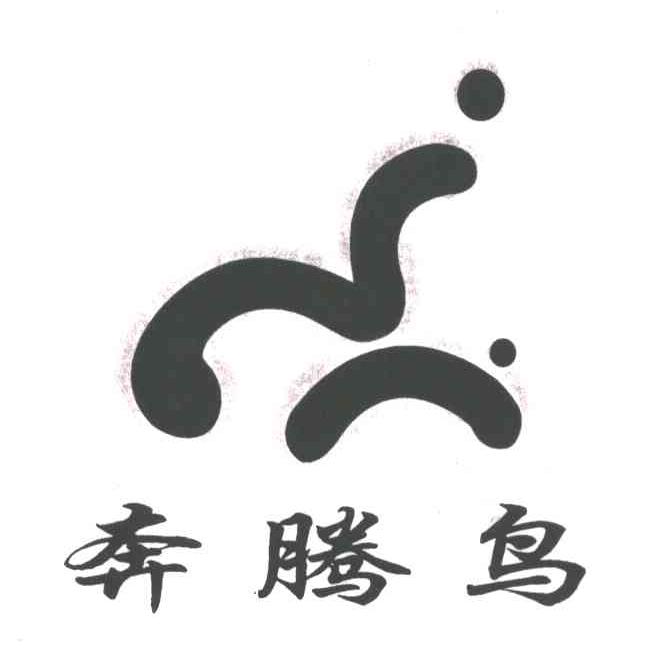 奔腾鸟