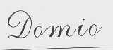 DOMIO