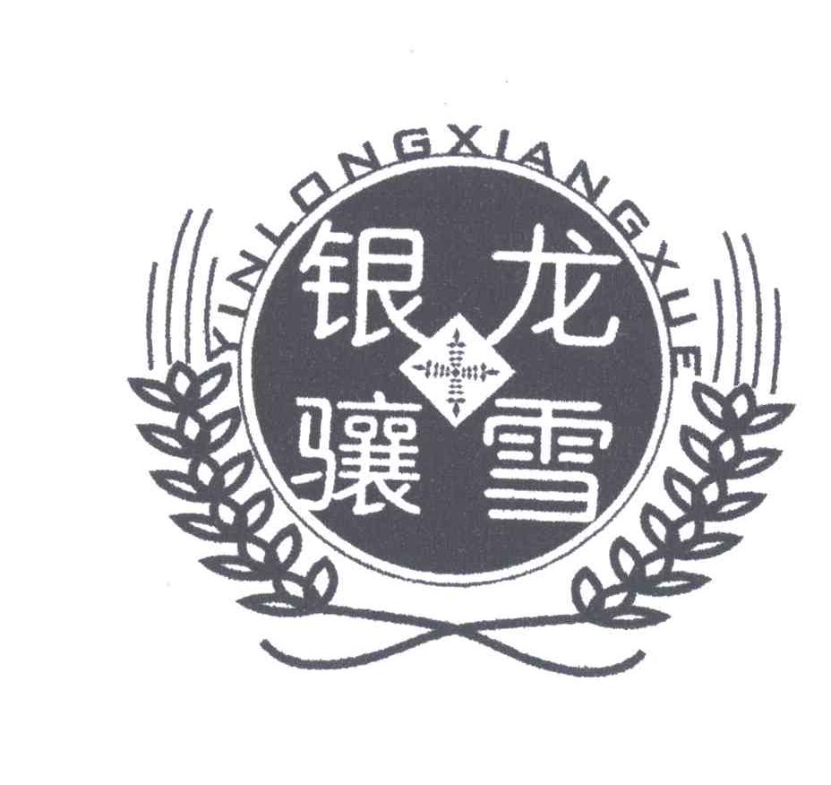 银龙骧雪