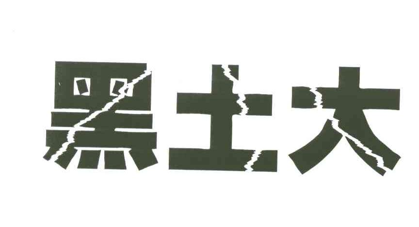 黑土大