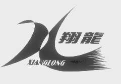 翔龙