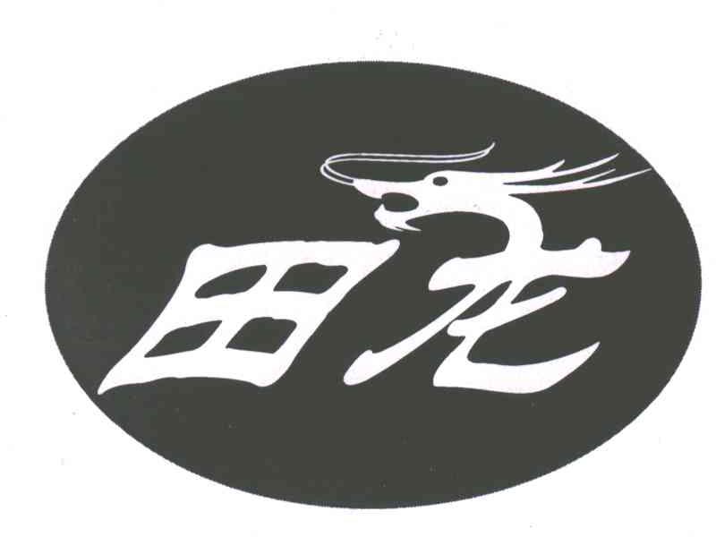 田龙