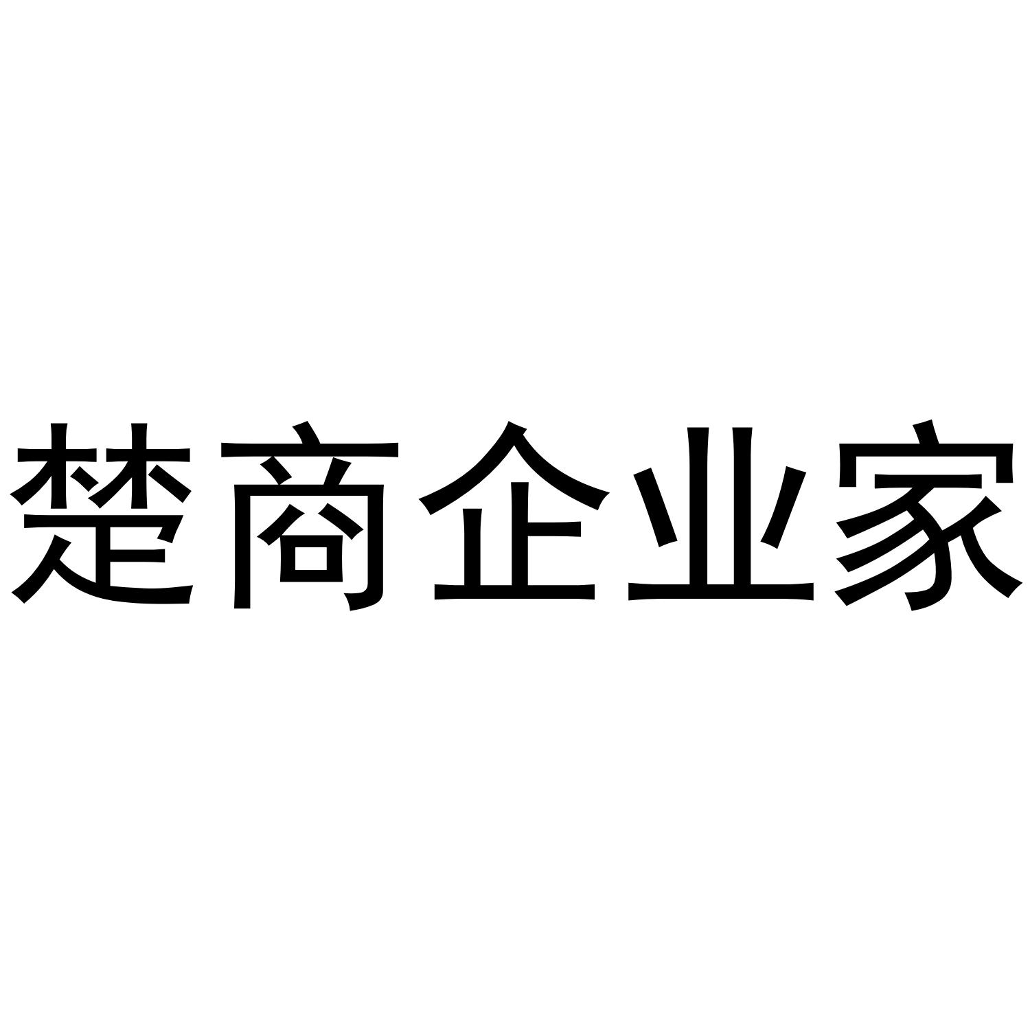 楚商企业家