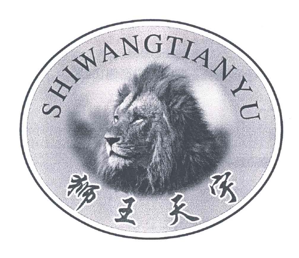 狮王天宇