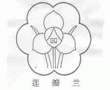 莲瓣兰