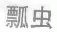 瓢虫