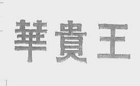 华贵王