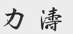 力涛