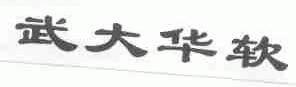 武大华软