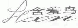 含羞鸟;HXN