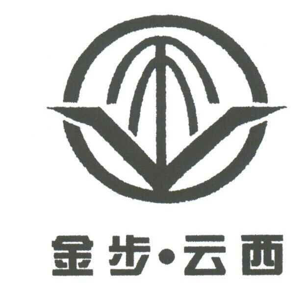 金步云西