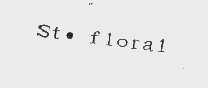 ST FLORAL
