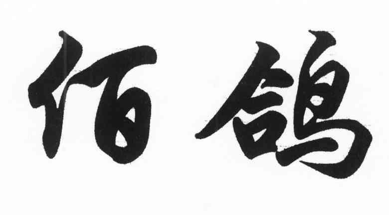 佰鸽