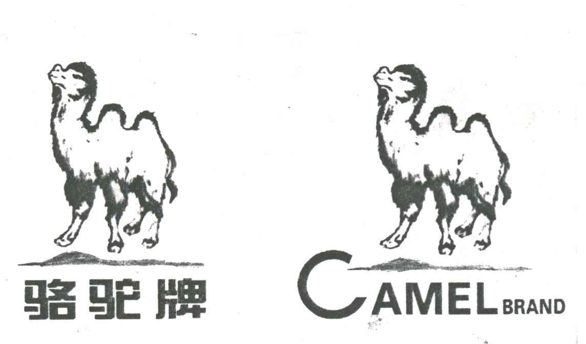 骆驼;CAMEL