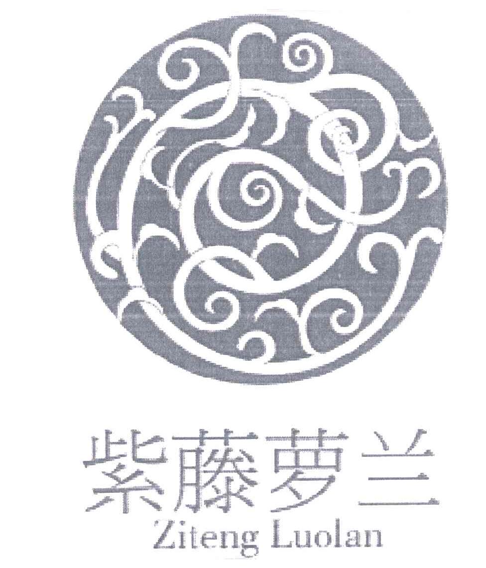 紫藤萝兰