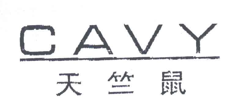 天竺鼠CAVY