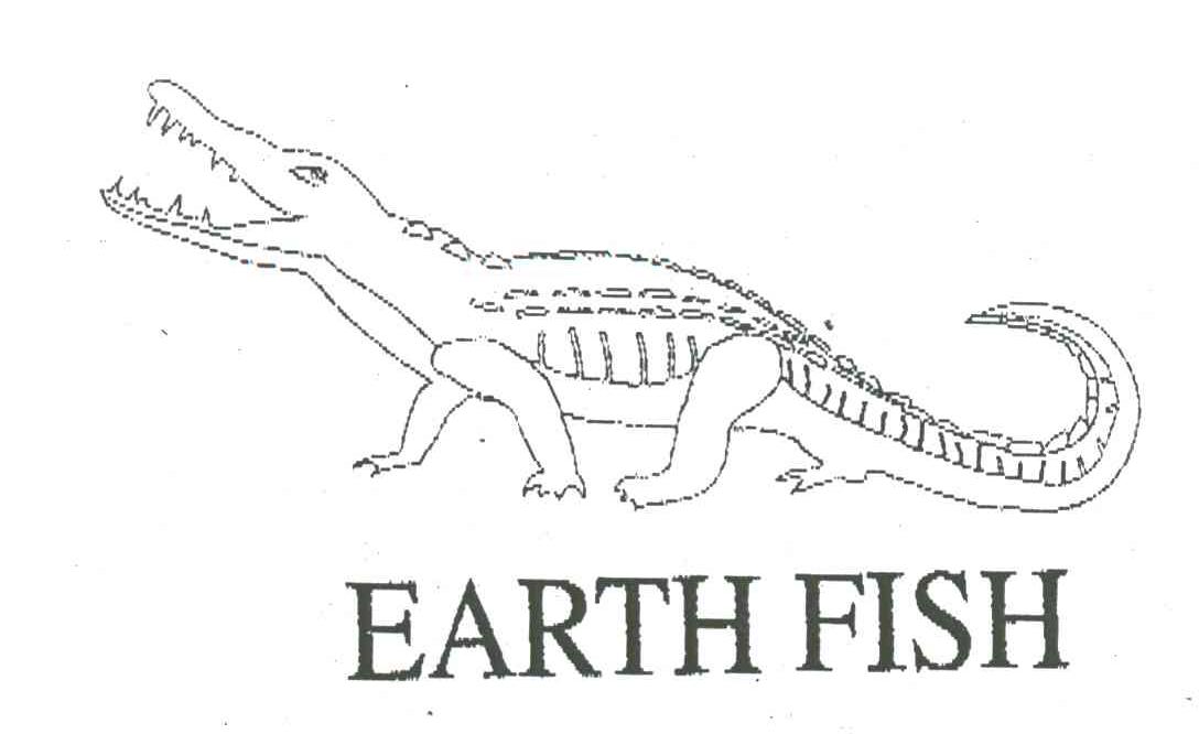 EARTH FISH及图