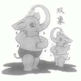 双象