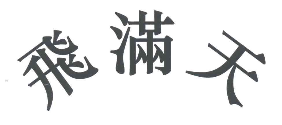 飞满天