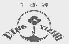 丁香