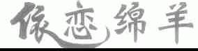 依恋绵羊