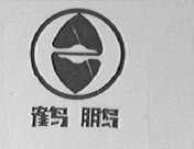 鹤鹏