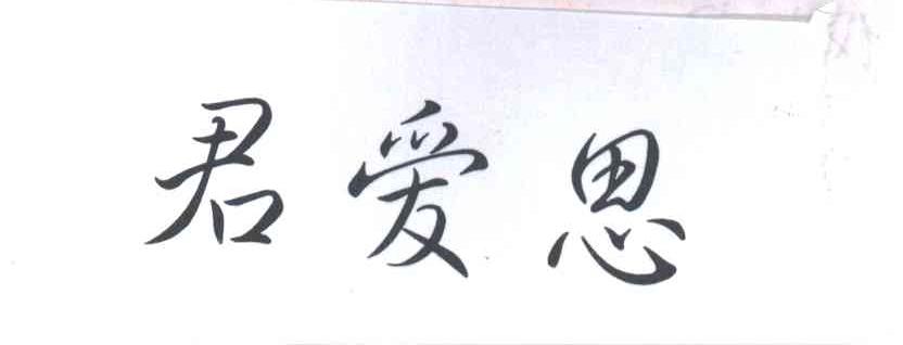 君爱思