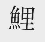 鲤