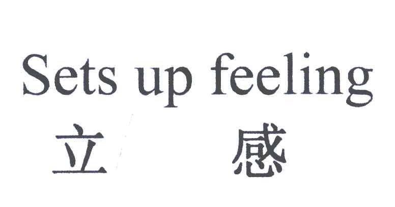 立感;SETS UP FEELING