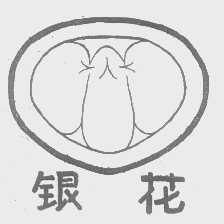 银花