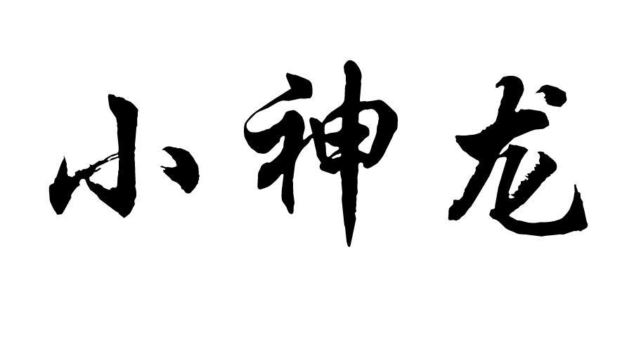 小神龙