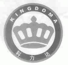 科力达;KINGDOMA